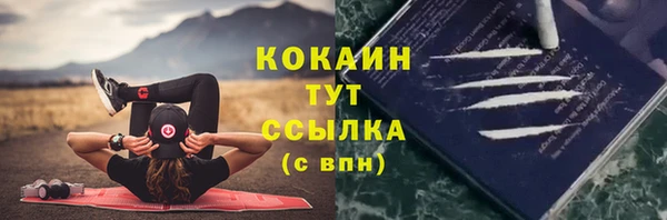 прущая мука Богородск