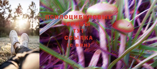 прущая мука Богородск